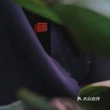 这次没拖延（P）