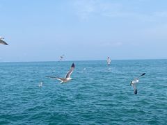-大连海昌东方水城