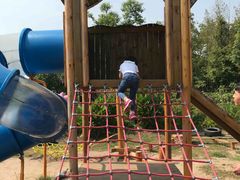 -田园东方蜜桃村的田野营地