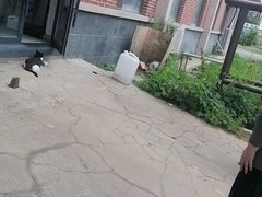 -派美特宠物医院·核磁CT·骨科肿瘤·疑难转诊(沈农禾丰店)