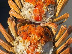 -品鲜村农家菜·阳澄湖大闸蟹(总店)