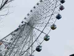 -琴岛之星摩天轮