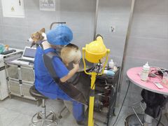 -宠福鑫康馨动物医院·骨科·眼科