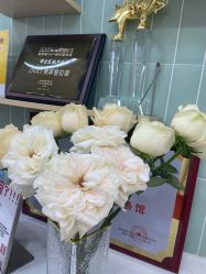 -莫纳瑜伽·普拉提