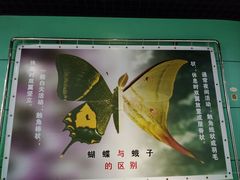 -上海昆虫博物馆