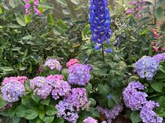 -人民公园(罗湖区)