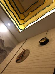 -芳朵美容养生SPA