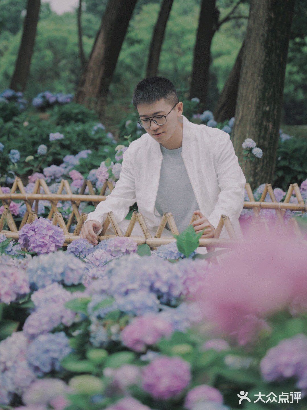 无尽夏绣球开啦🌸最新共青森林公园拍照攻略