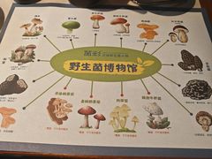 -菌彩云南野生菌火锅(呈贡七彩云南第壹城店)