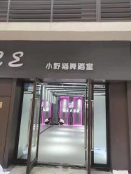 -Cat Dance小野猫舞蹈室