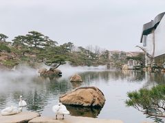 -罗红摄影艺术馆