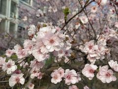 -杭州师范大学(下沙校区)