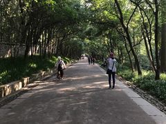 -灵谷景区