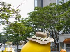 -东莞松山湖万象汇