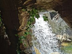 -洛阳花果山景区