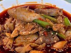 -龙翔山庄雷鸡肉(青城后山泰安古镇店)
