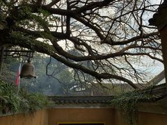 -普陀山风景区-佛顶山