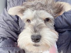 -北京赛佳动物医院