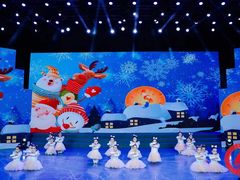 -西安小天鹅艺术团(金花路校区)