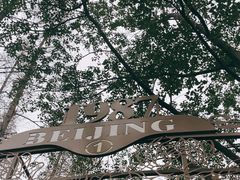 -东平国家森林公园