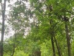 -海兰云天度假区温泉