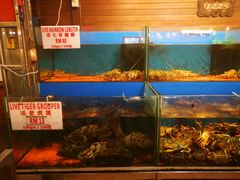 -真浪花园海鲜餐馆