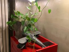 -HIGH FIVE哈福手工汉堡(桂林路店)