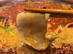 招牌大刀腰片-香佰里鲜货火锅(佳乐金街店)