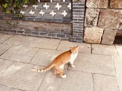 -龙华寺
