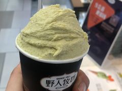 -野人先生现做冰淇淋(西安赛格店)
