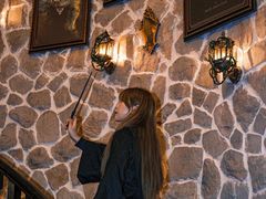 -雪灵魔法世界SHELLY’S TAROT(大良桂畔里店)