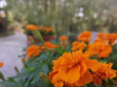 -芭东小镇温泉