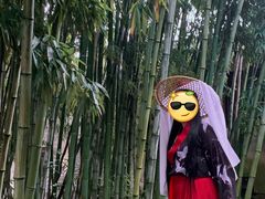 -汉仪华裳汉服旗袍·摄影写真馆(乌镇西栅店)