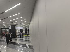 -谢列梅捷沃国际机场