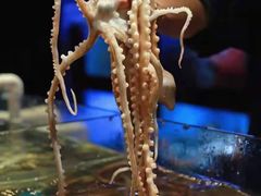 -V-ONE西雅图海鲜自助餐厅(仓山万达广场店)