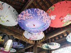 -雪山彩虹谷景区