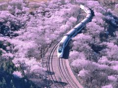 -居庸关长城