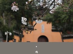 -鸡鸣寺