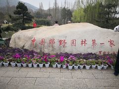 -习家池