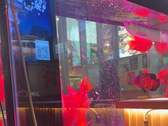 -五丁桥光头香辣蟹(望江橡树林店)