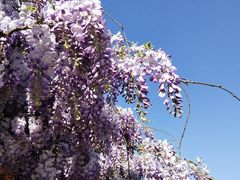 -贮水山儿童公园