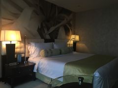 -国家会议中心大酒店