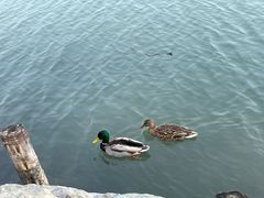 -颐和园