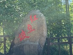 -莫尔道嘎国家森林公园