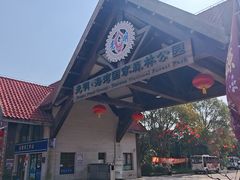 -上海海湾国家森林公园