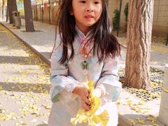 -三里屯东五街银杏大道