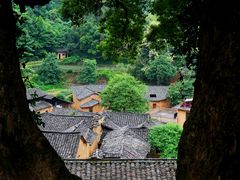 -杨家堂村