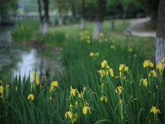 -白塘生态植物园