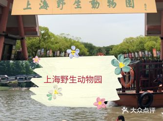 上海野生动物园最佳拍照攻略假期必去  购票：飞猪携程