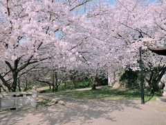 -苏州上方山国家森林公园